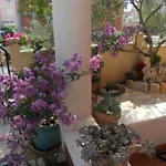 Apartman Dea & Paula - Classic Two Bedroom With Terrace *