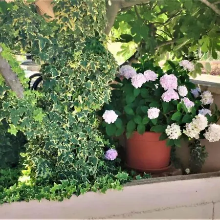 Dea & Paula - Classic Two Bedroom With Terrace Apartament