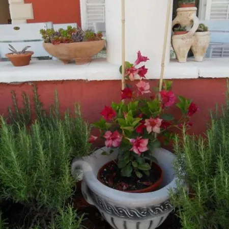 Dea & Paula - Classic Two Bedroom With Terrace Apartament