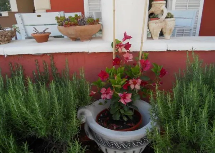 Dea & Paula - Classic Two Bedroom With Terrace Apartment